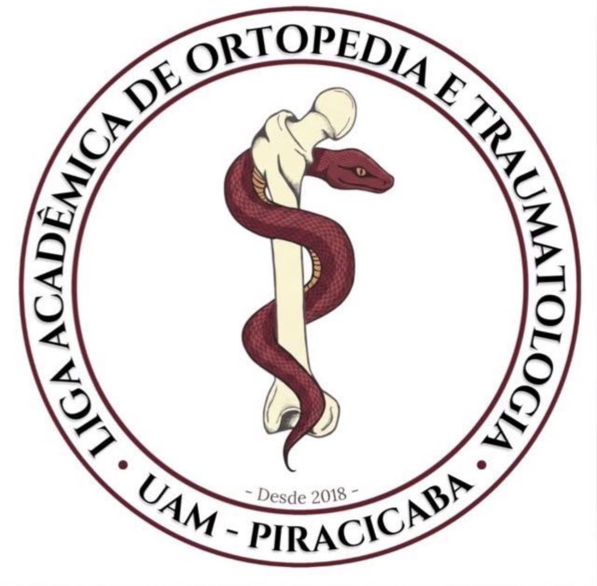 Logo de Liga Acadêmica de Ortopediae Traumatologia